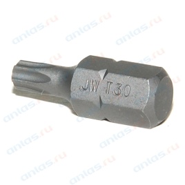 БИТА JW TORX T30 М10х30 